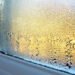 Condensation forming on the inside of a residential window during cold winter weather in Calgary.