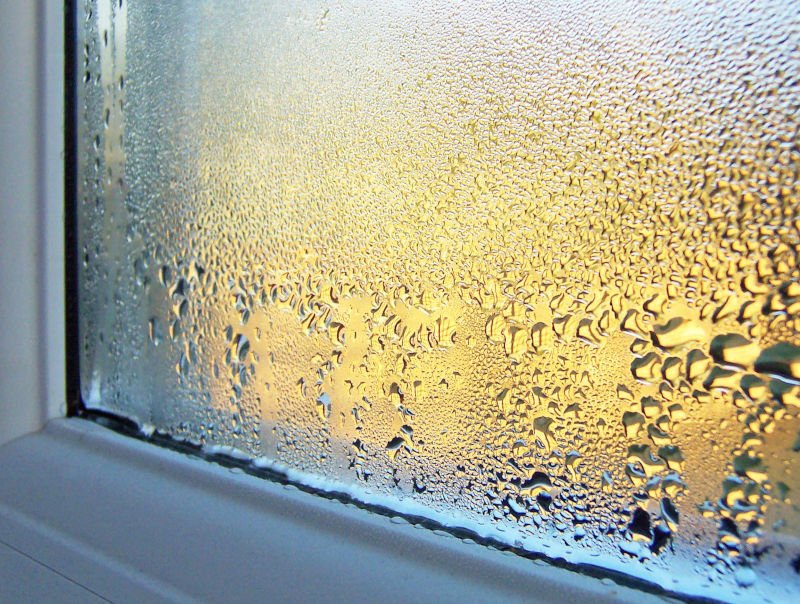 Window Condensation in Calgary Homes: Why It Happens and How to Stop It