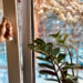 Opening a window to improve indoor air quality in a Canadian home